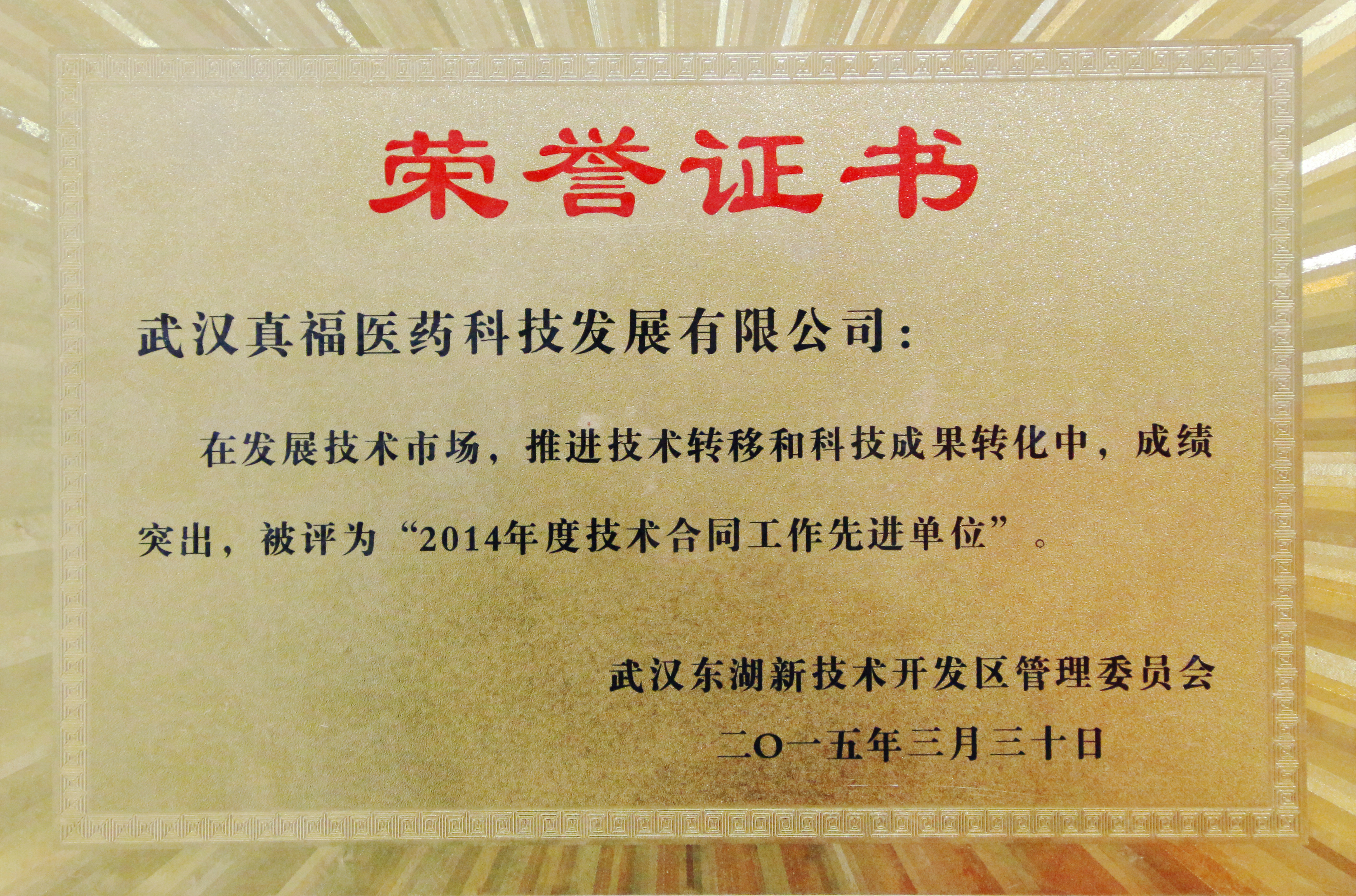 ����� -jinnianhui | jinnian