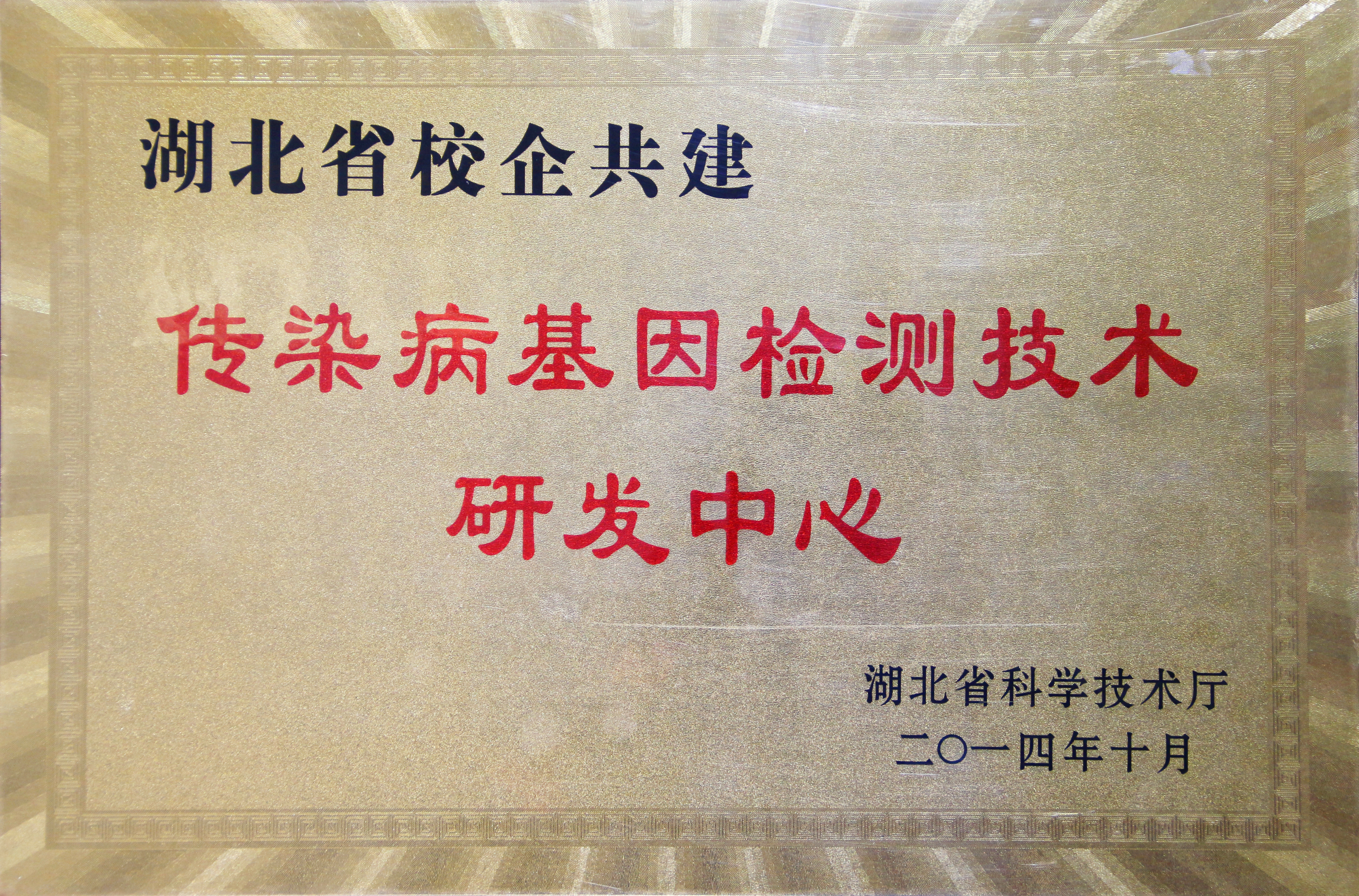 ����� -jinnianhui | jinnian