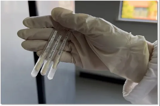 ����� -jinnianhui | jinnian