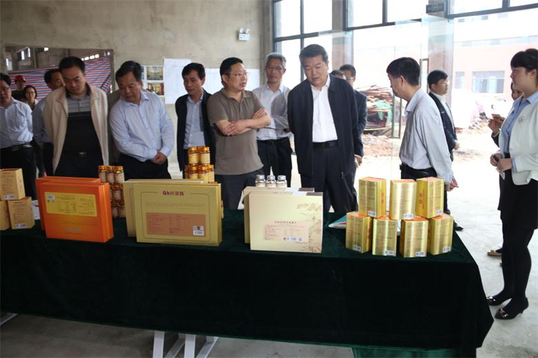 ����� -jinnianhui | jinnian