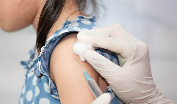 ����� -jinnianhui | jinnian