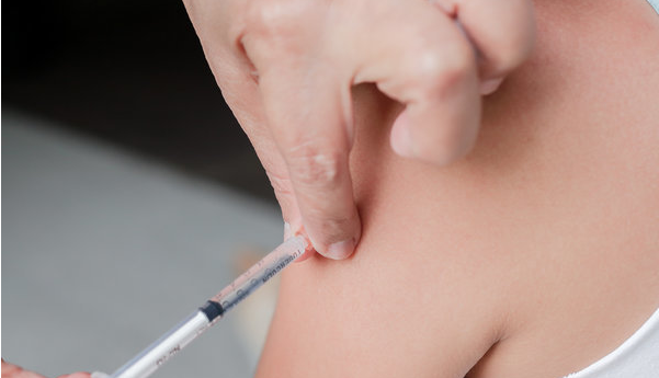 ����� -jinnianhui | jinnian