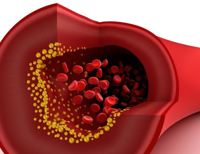 ����� -jinnianhui | jinnian