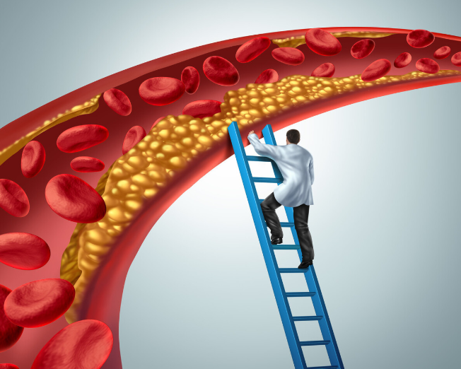 ����� -jinnianhui | jinnian